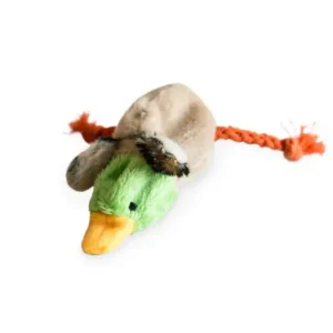 Kitty Play Skinny, Green Duck