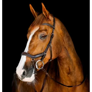 Horseware Micklem Competition Träns