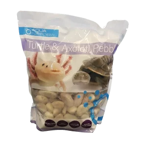 Turtle and Axolotl Pebble