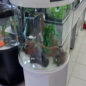 Complete Semi Circle Aquarium With Cabinet - 125L (58cmx36cmx75.5cm)