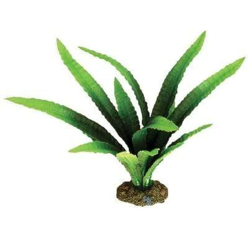 Aqua One African Onion Silk Plant - Bild 2