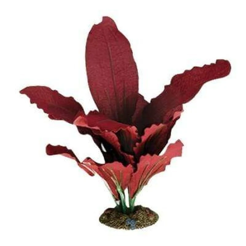 Aqua One Amazon Red Silk Plant - Bild 2