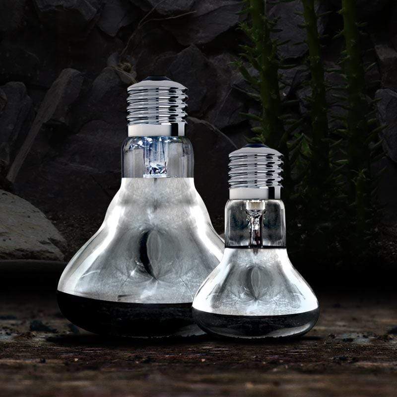 Arcadia Solar Basking Spotlight - Bild 3
