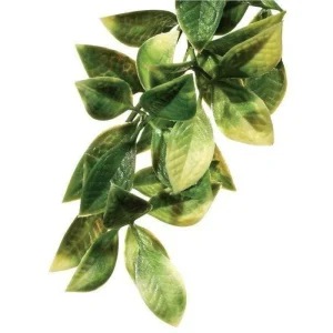 Exo Terra Hanging Forest Plants Mandarin