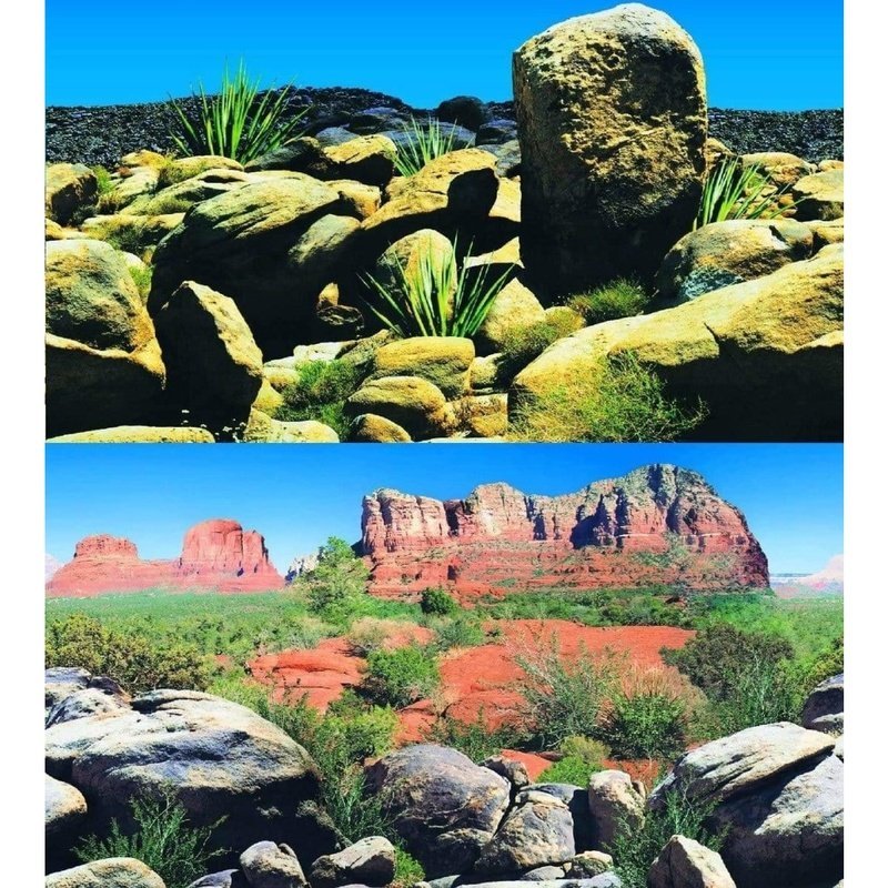 Marina Seaview Background Arizona Desert 30cm High - Bild 2